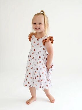 Bubble baby bamboo 2t smocked monkey dress
